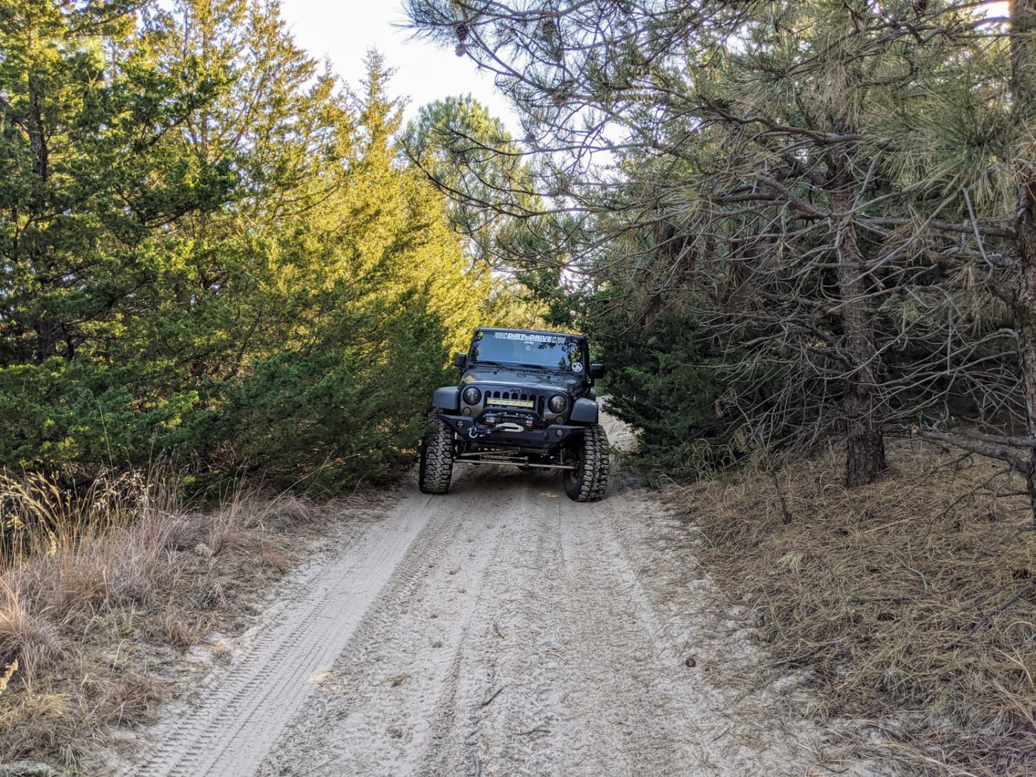 Nebraska National Forest