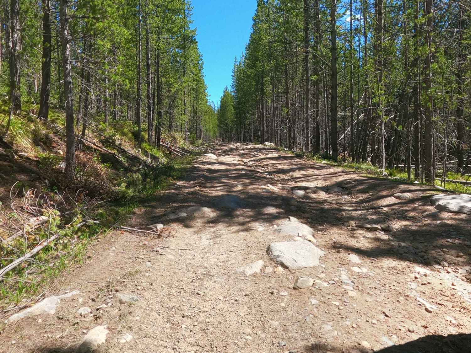 Warm Springs Creek Road 170