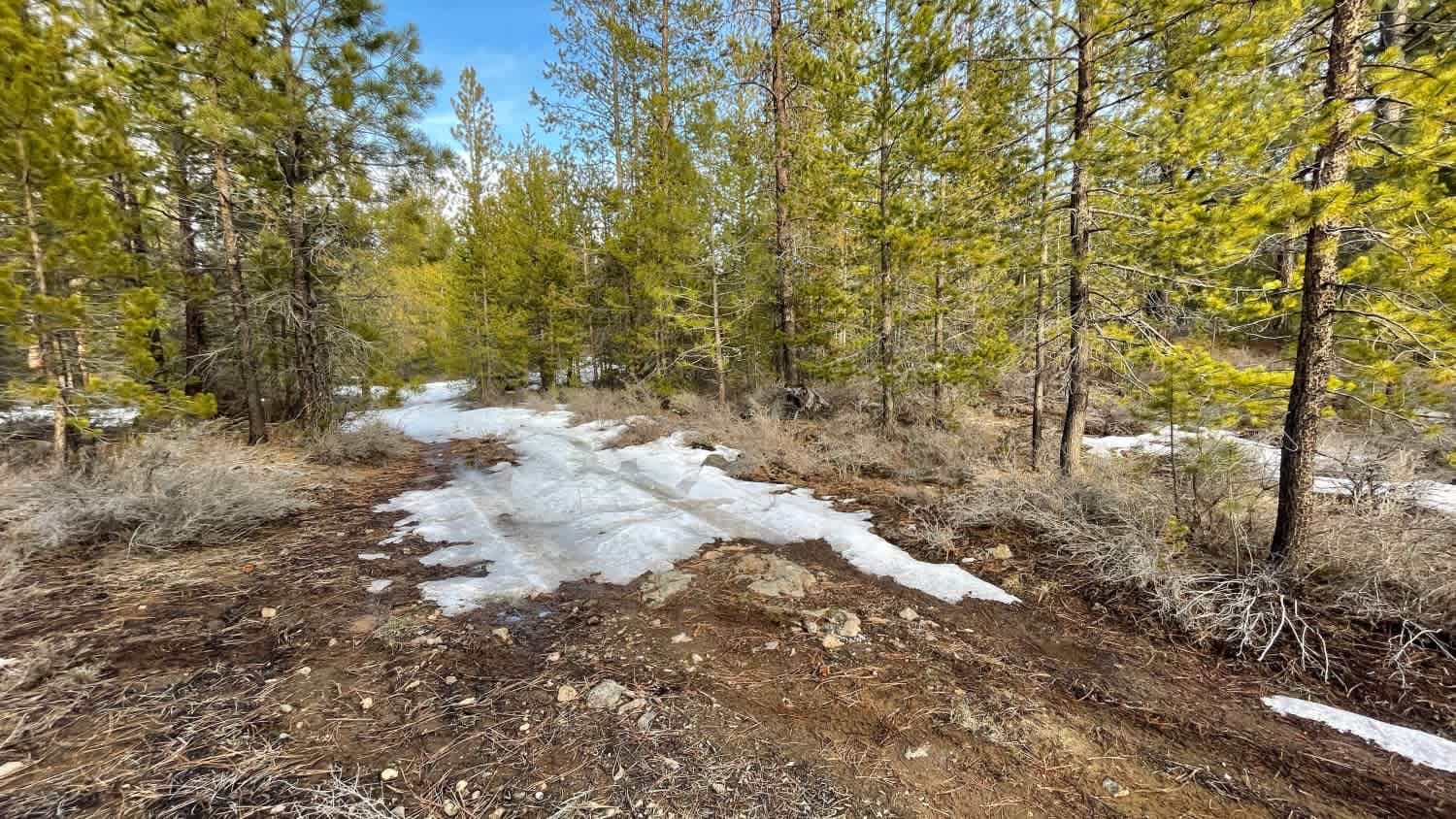 Lava Top Butte Caves