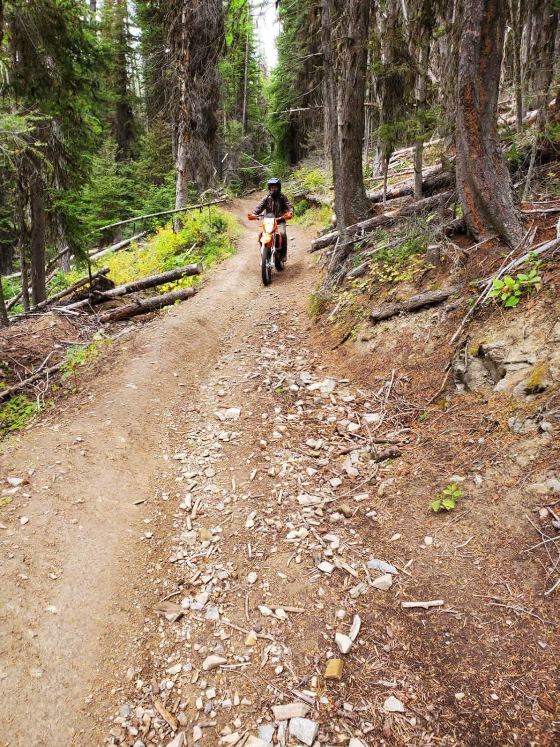 Blue Mountain Lookout Spur (6.07)