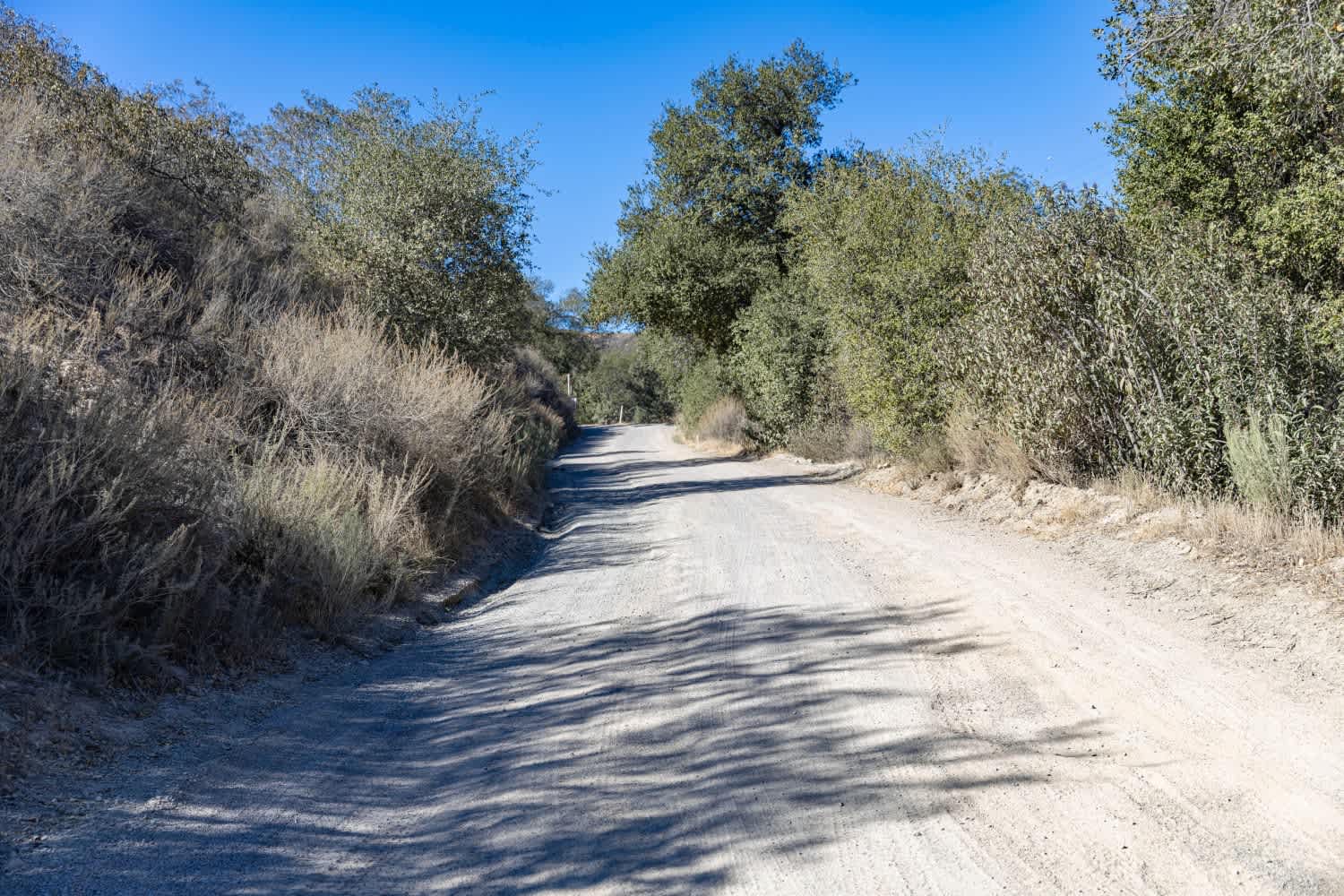 Otay Mountain Truck Trail