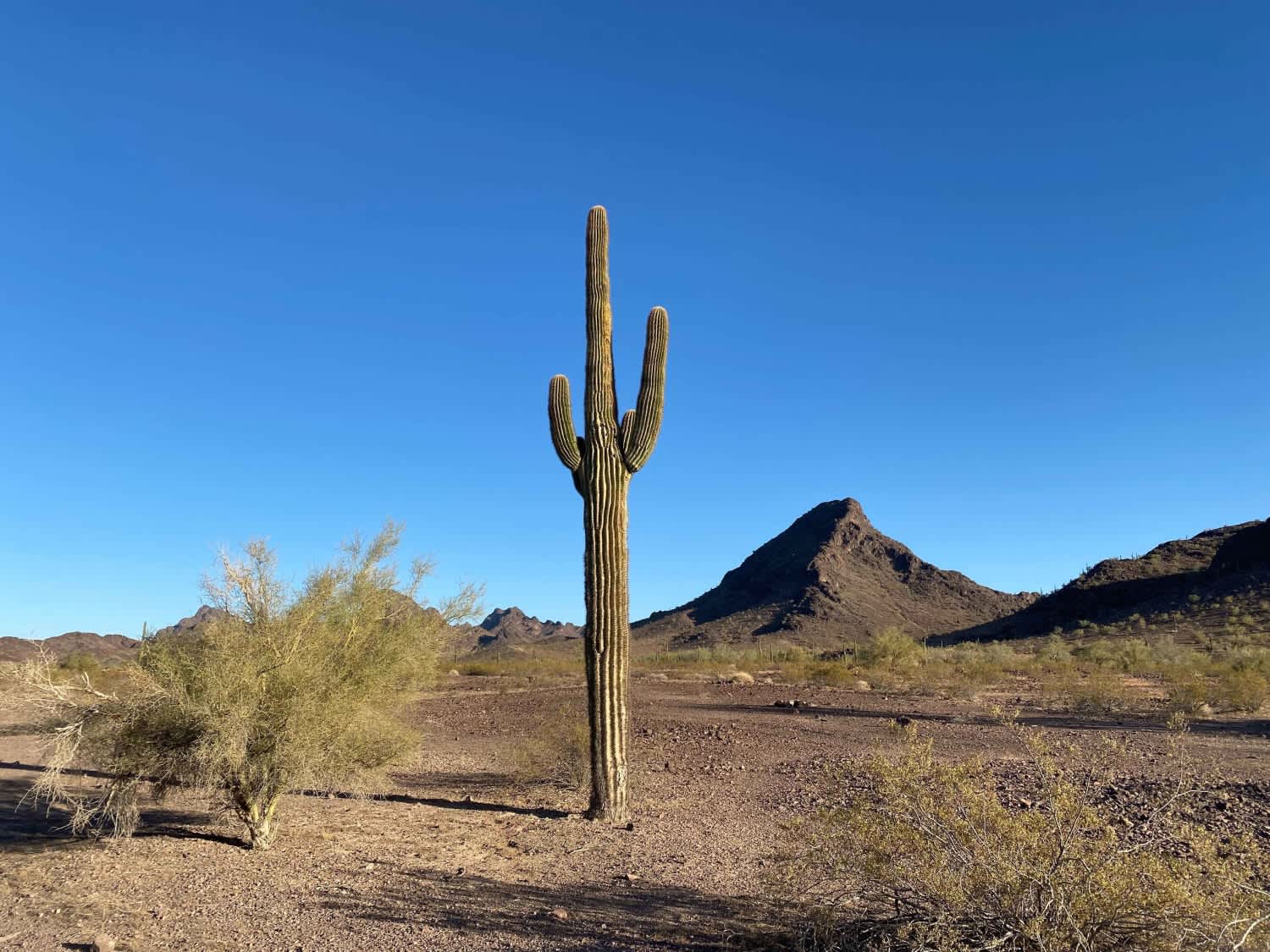 AZ Peace Trail Middle Section 25 Quartzite to Boise