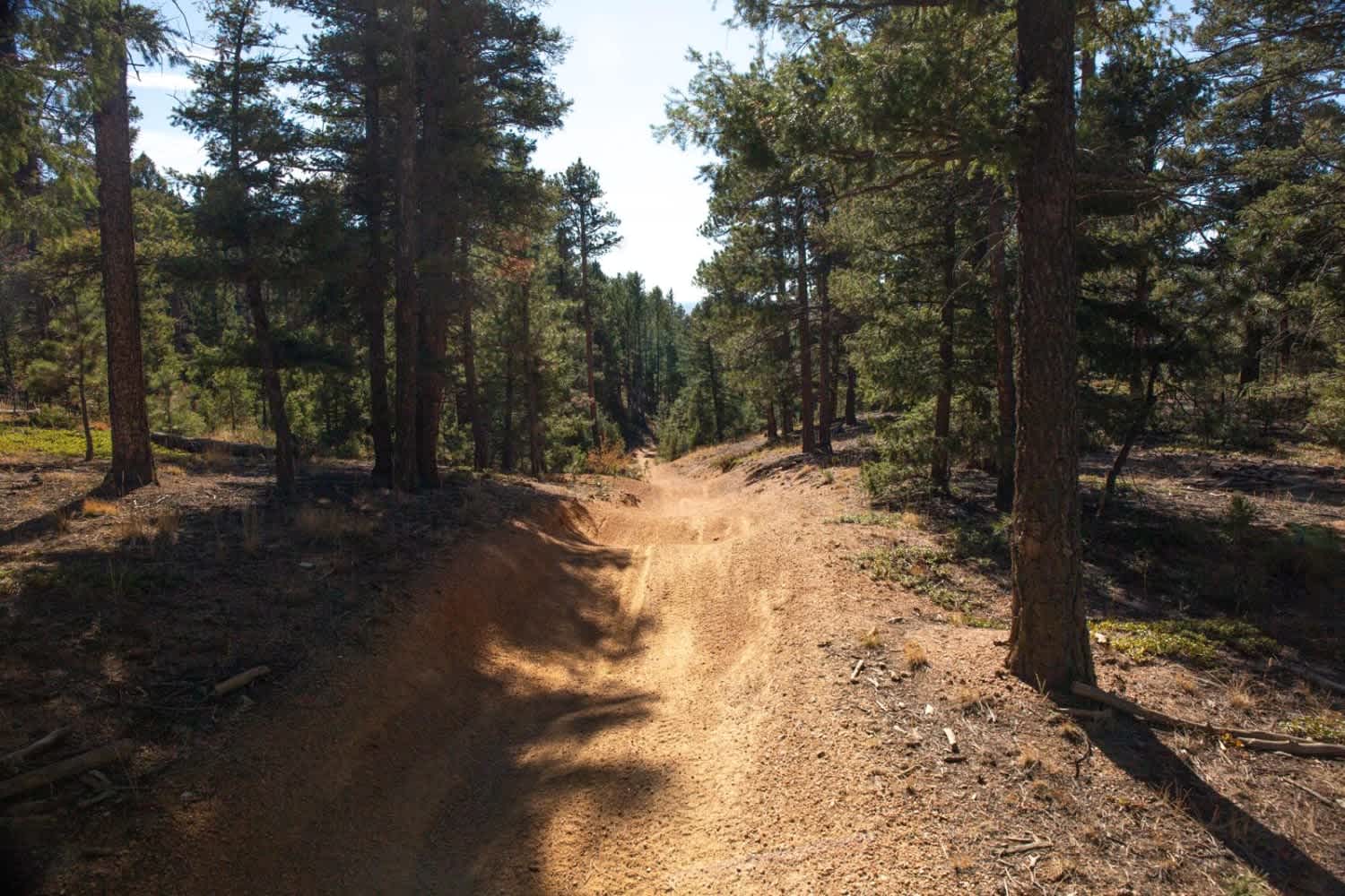 Long Hollow 50-inch Trail (FS 650)