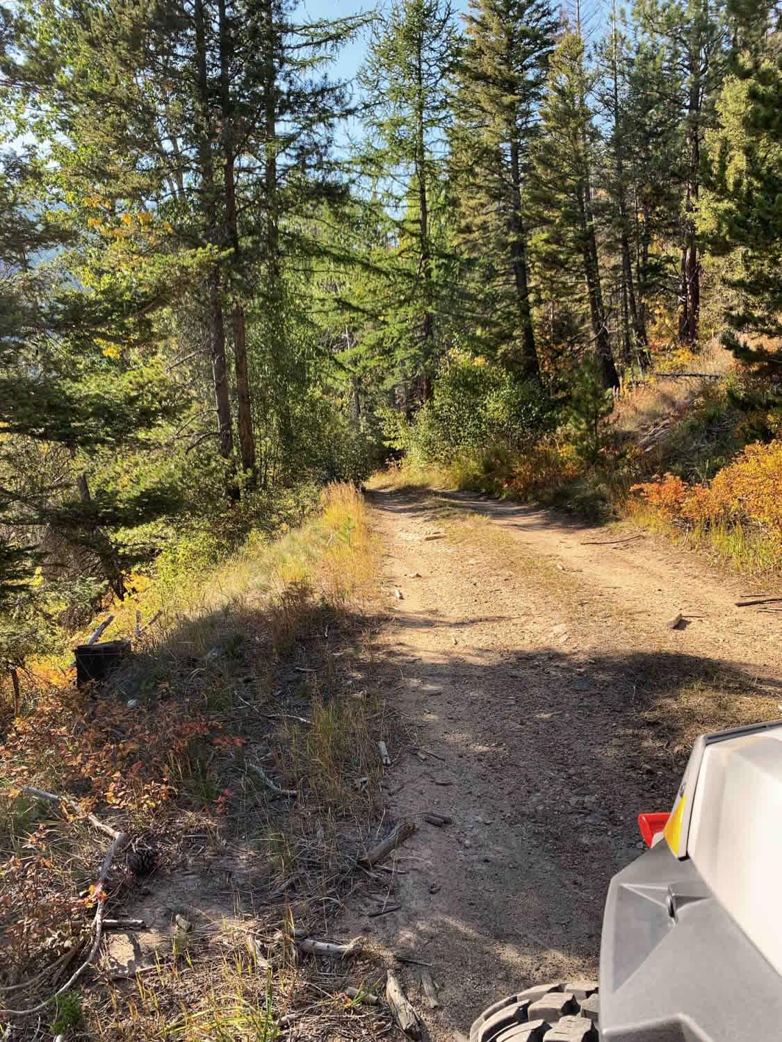 McCalla to St.Mary's Connection