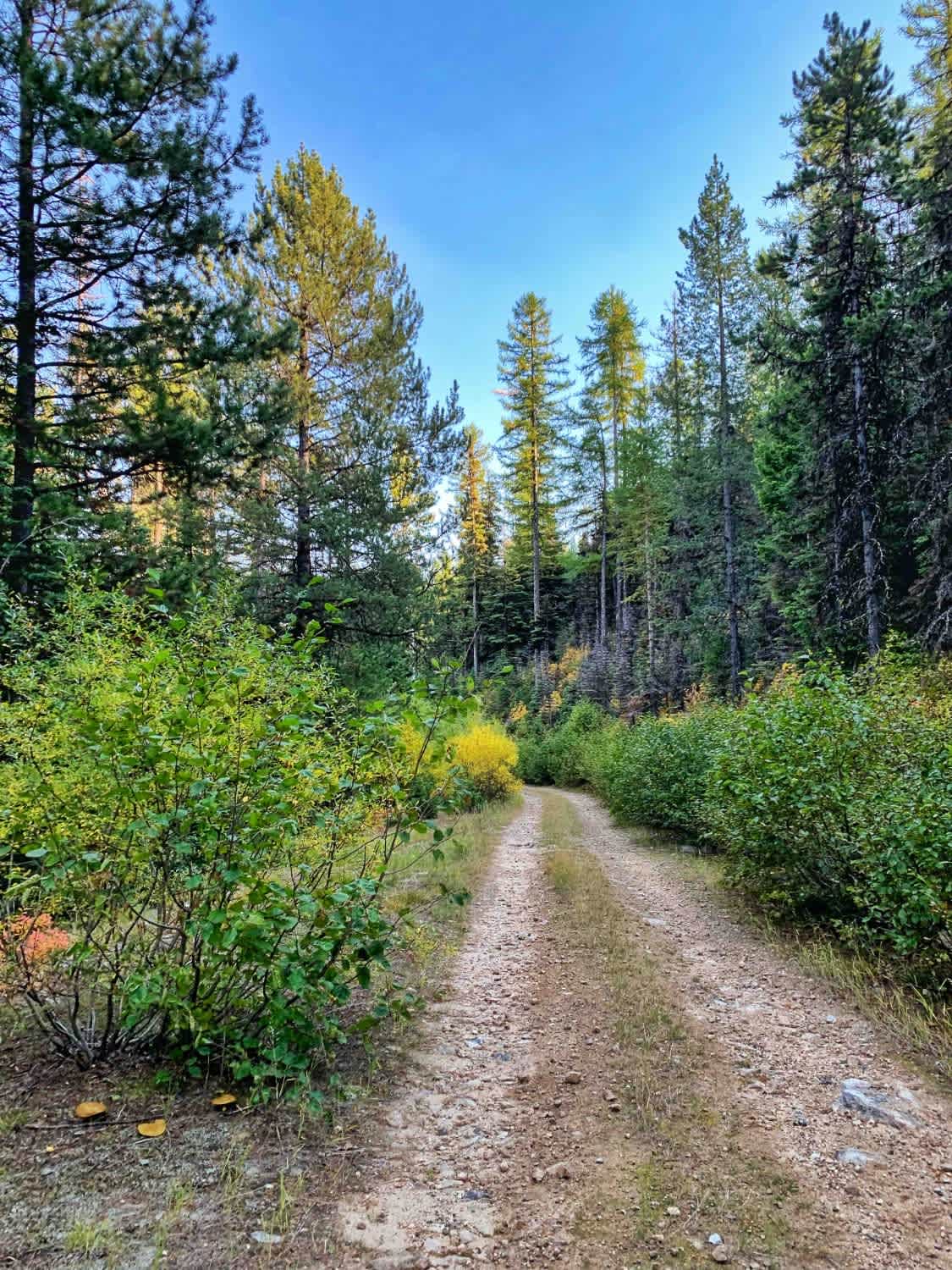 McCalla to St.Mary's Connection