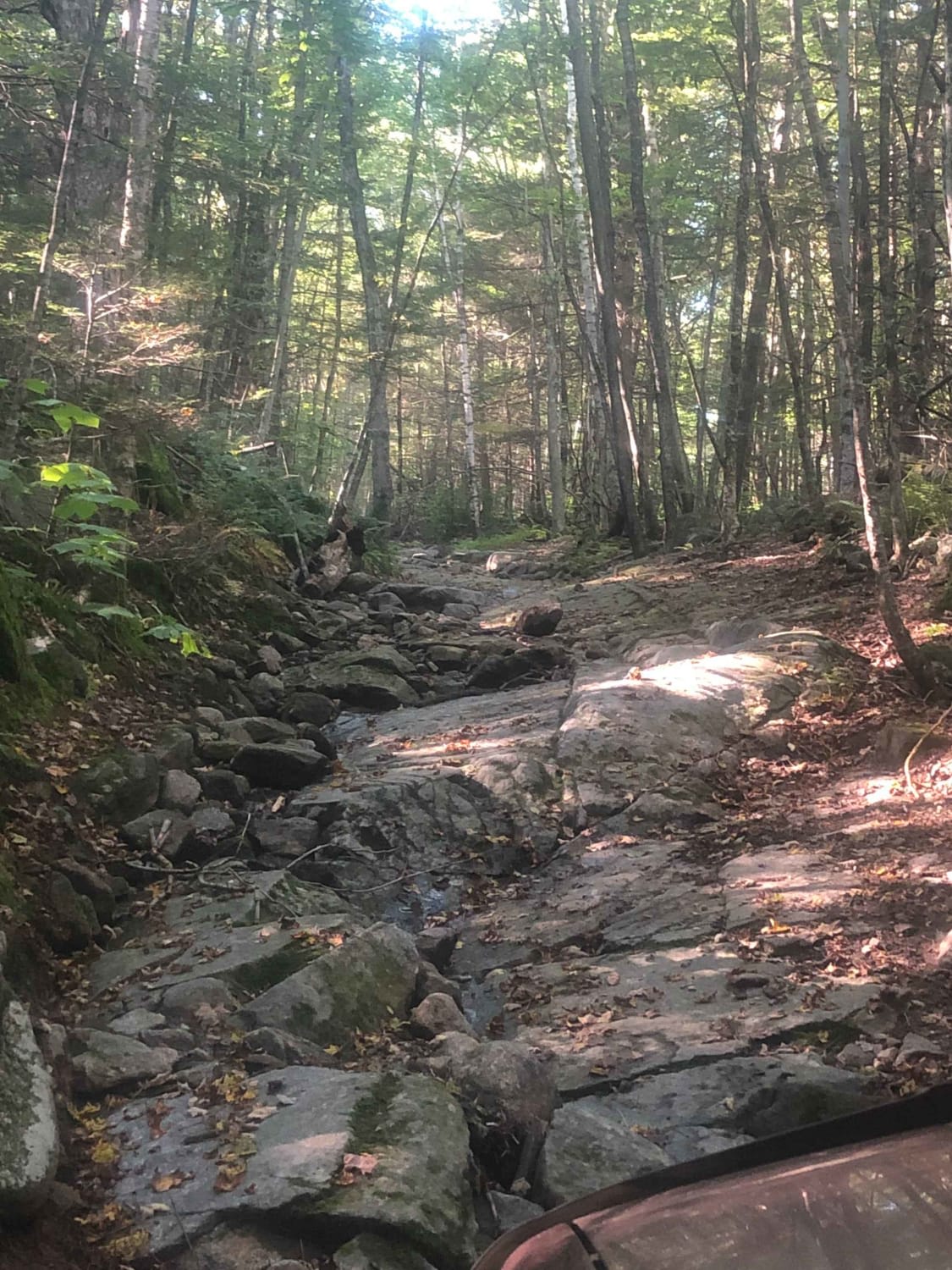 Cobble Hill Road Trail