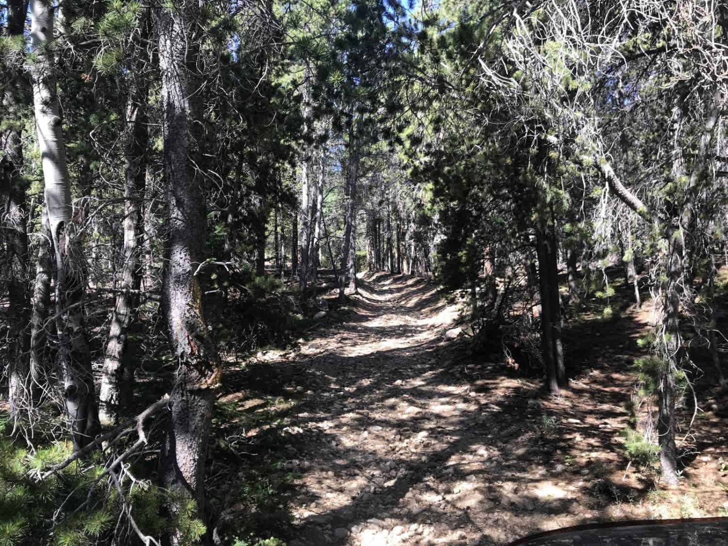 Buckeye Mountain Road 512.1