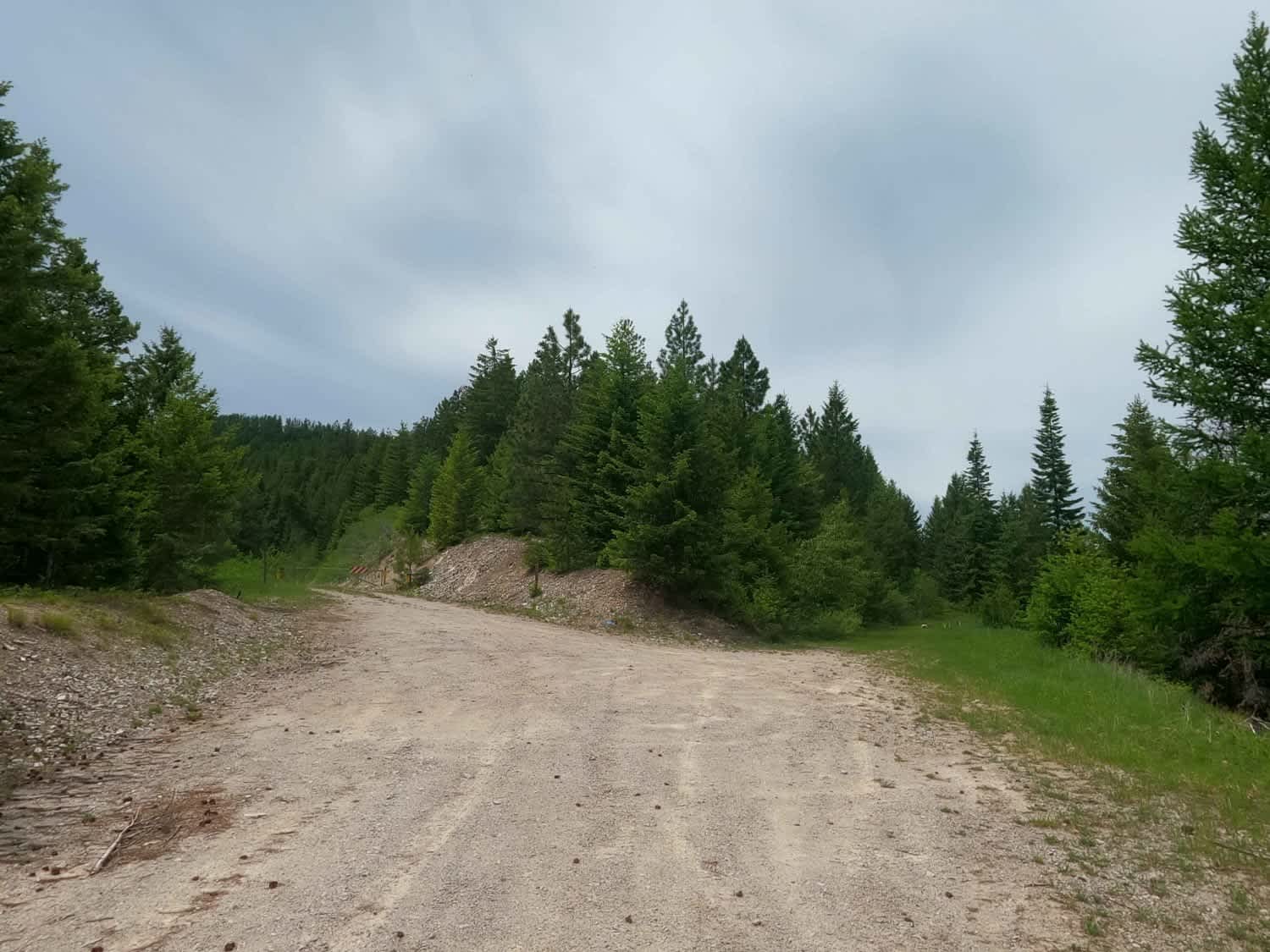 West Fork Petty Creek Road 22