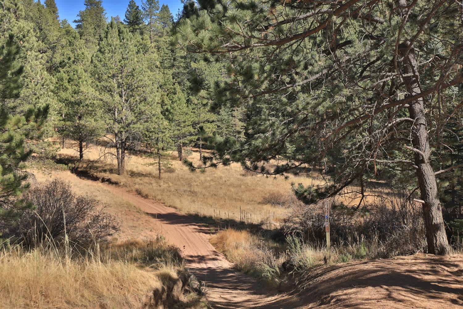 Long Hollow 50-inch Trail (FS 650)