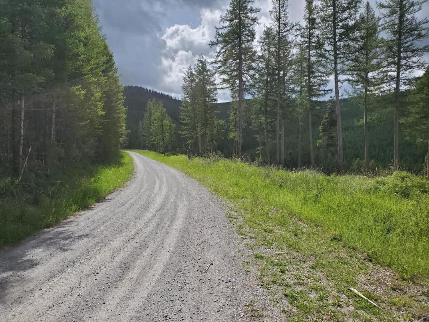 Discover Off-road Trails in West Glacier, Montana: Beginners to