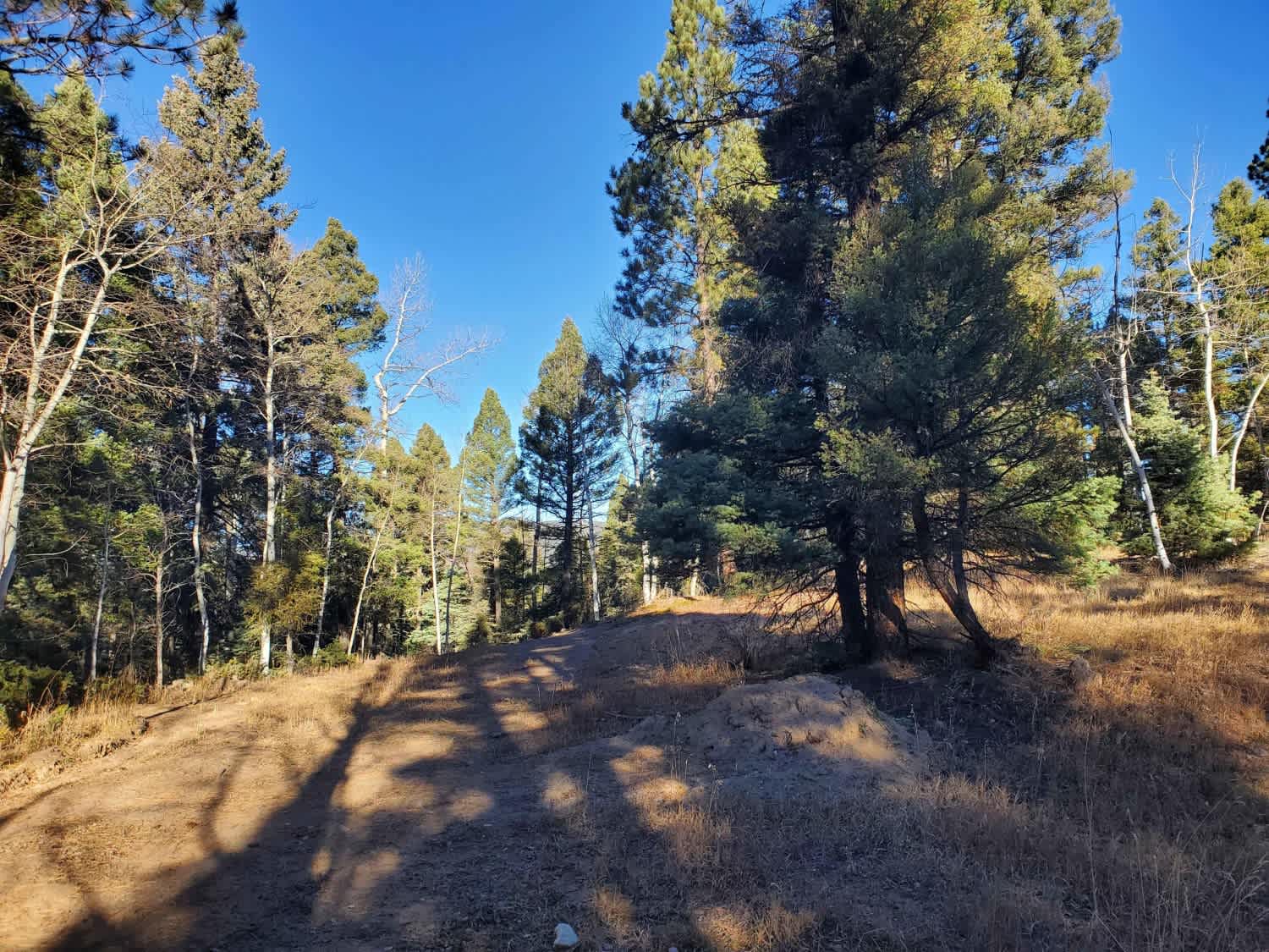 vintage us製Trails Endトレイルズエンド ヘビネル L千鳥格子 Discover Off-road Trails in Eagle Nest, New Mexico: Beginners to