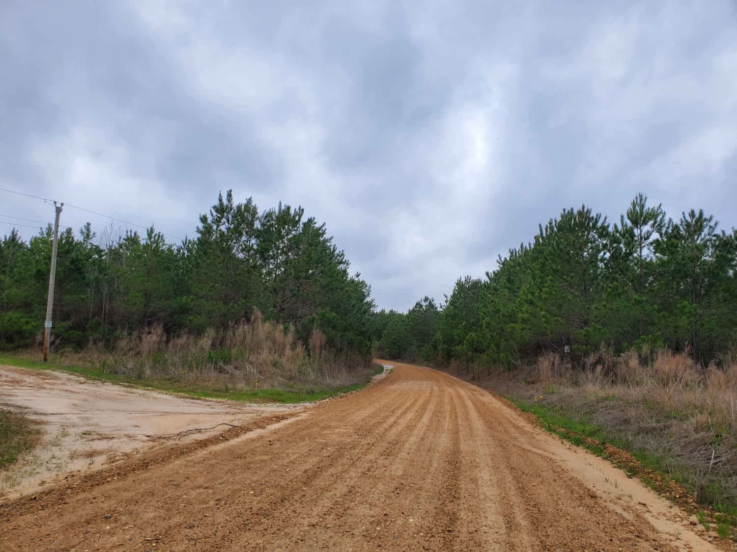 Highway 24 to Poison Springs WMA