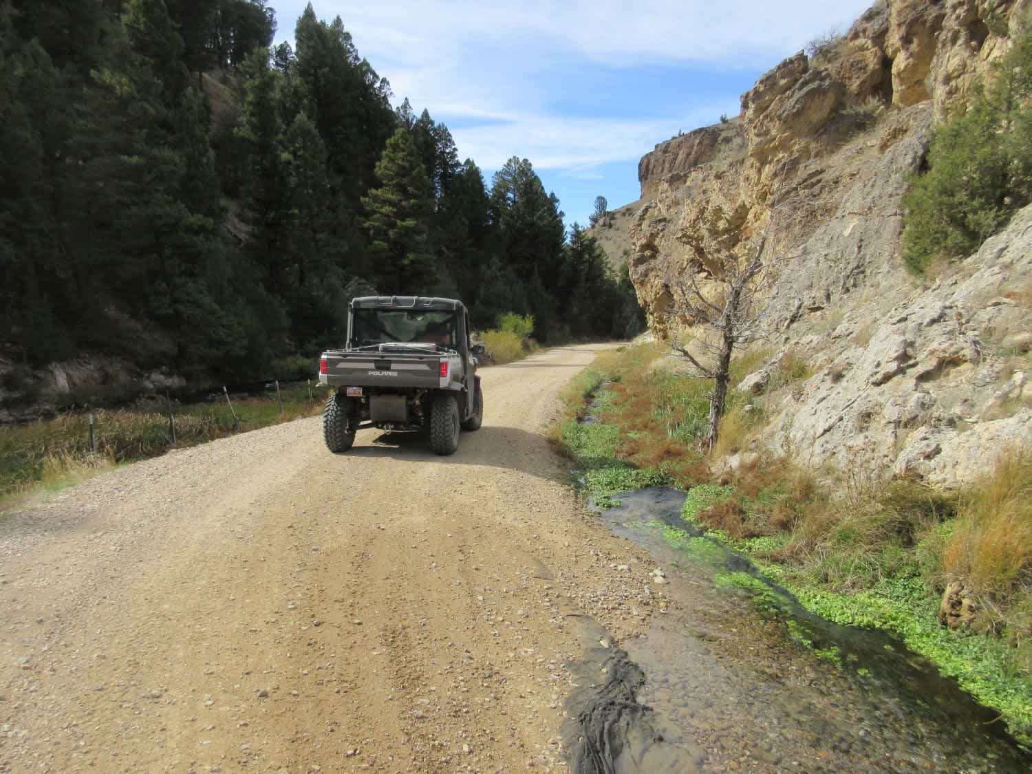 Warm Springs Creek Road (FA 163)/Cow Camp Road (FS 1234)