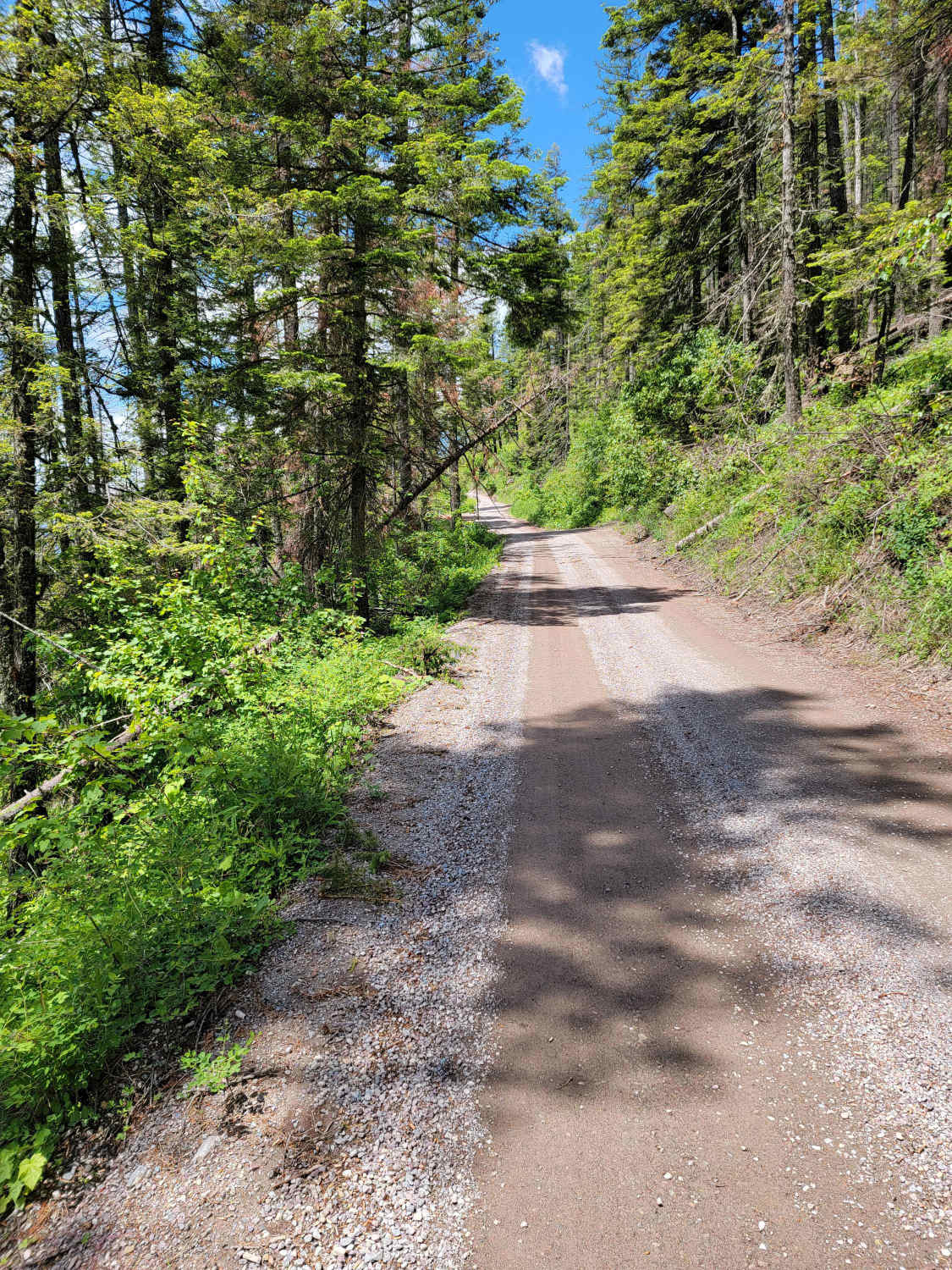 Discover Off-road Trails in West Glacier, Montana: Beginners to