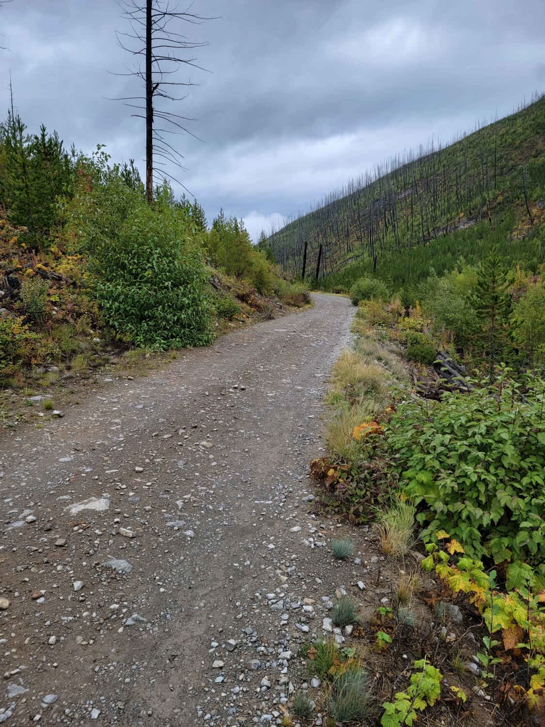 Discover Off-road Trails in West Glacier, Montana: Beginners to