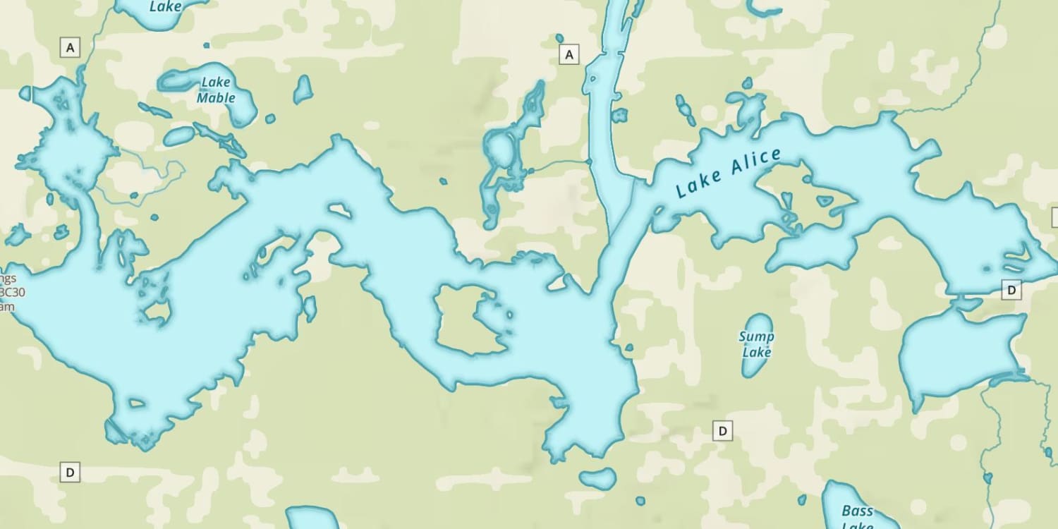 Lake Alice Fishing Maps, Tips, Regulations, and Hot Spots onX Fish App