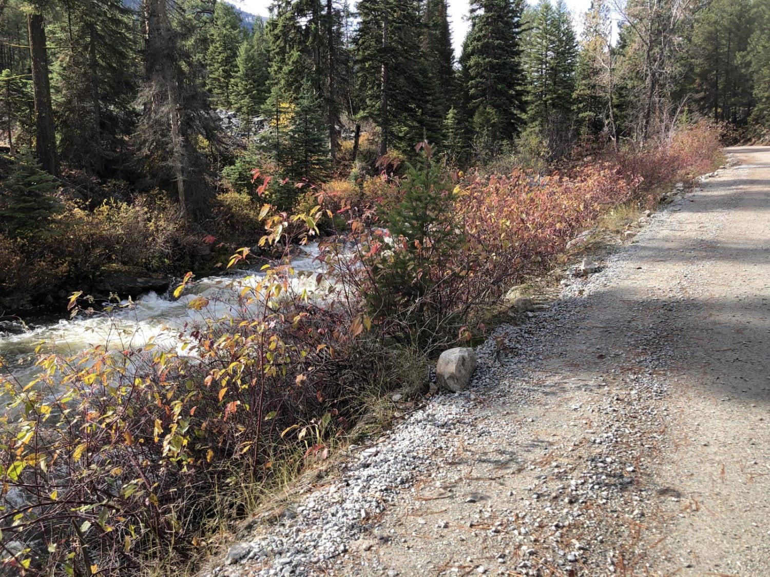 Lost Horse Creek Trail