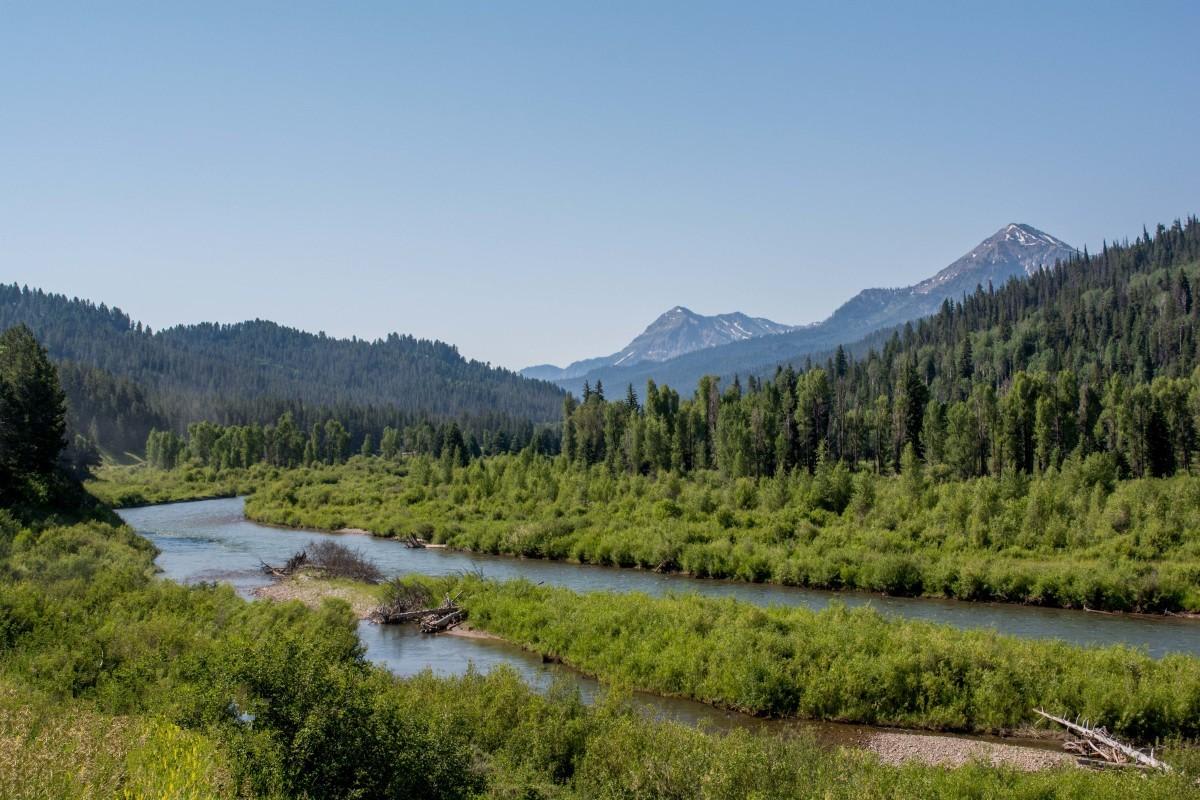 Greys River