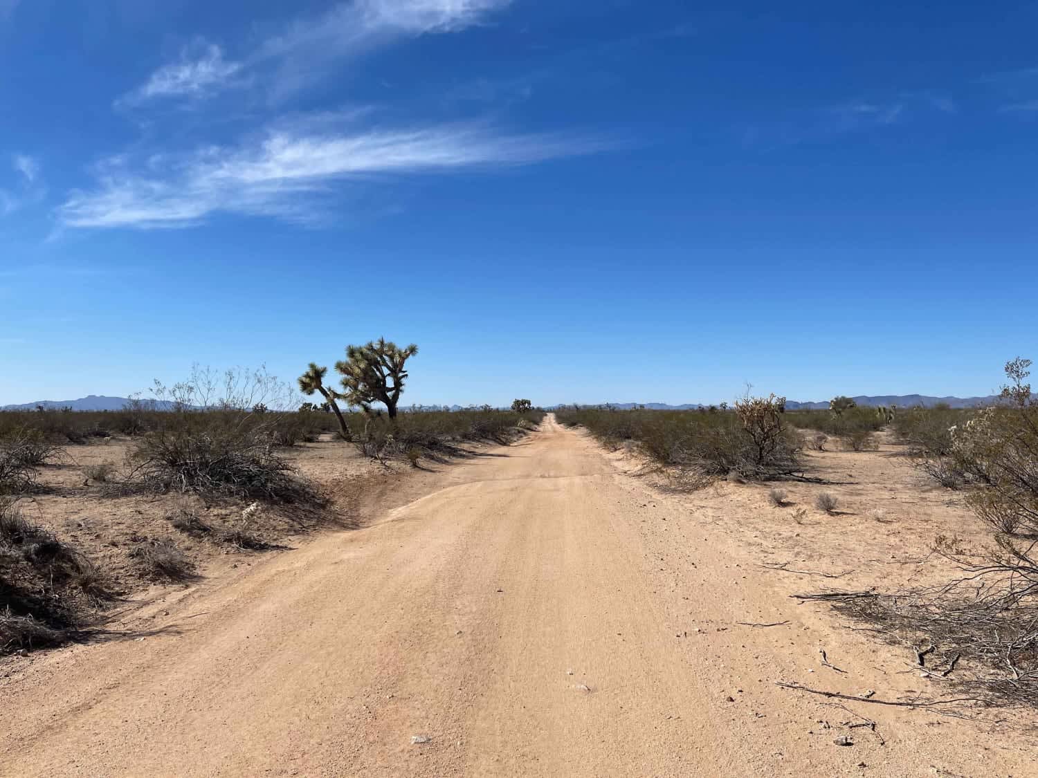 AZ Peace Trail Cutover to Tres Amigos Waterfall Trailhead