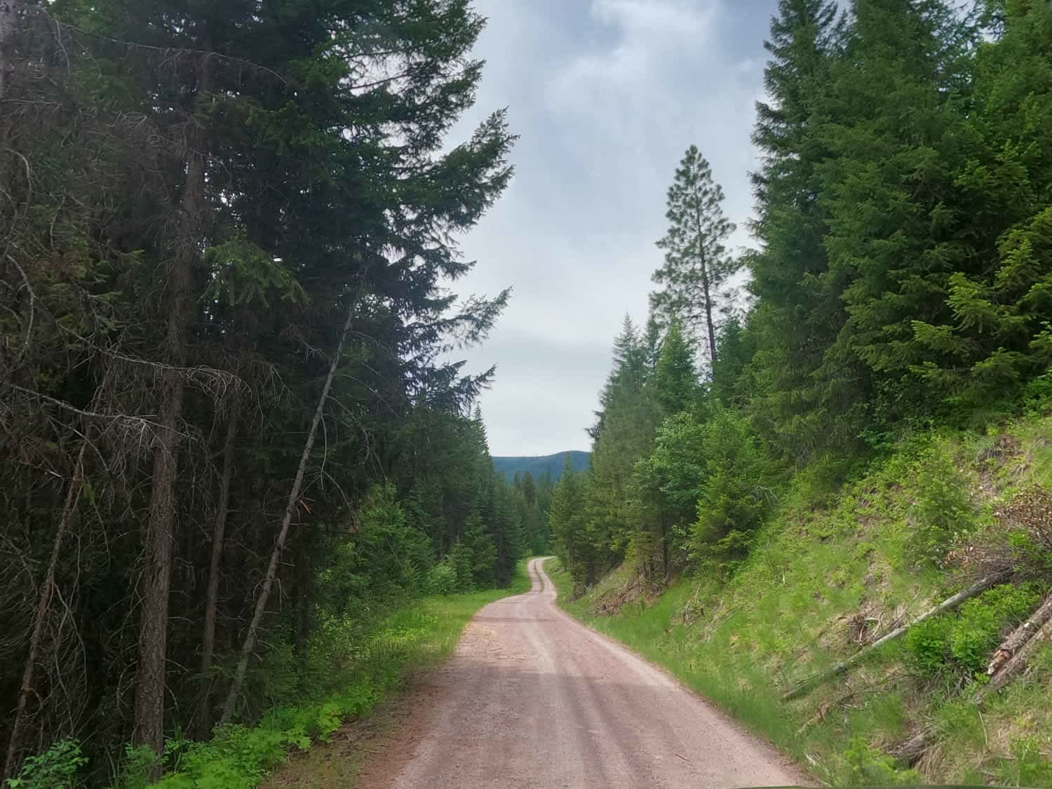 West Fork Petty Creek Road 22