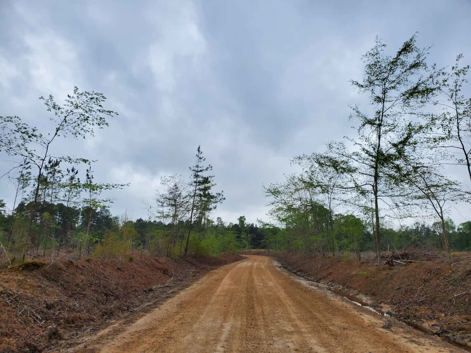 Highway 24 to Poison Springs WMA