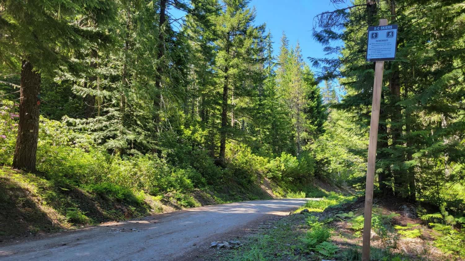 Discover Off-road Trails in Rhododendron, Oregon: Beginners to Advanced |  onX Offroad