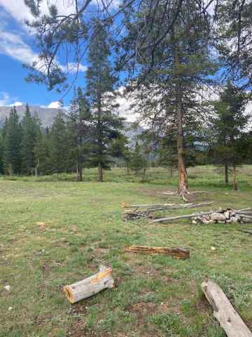 Texas Creek (FSR 755)