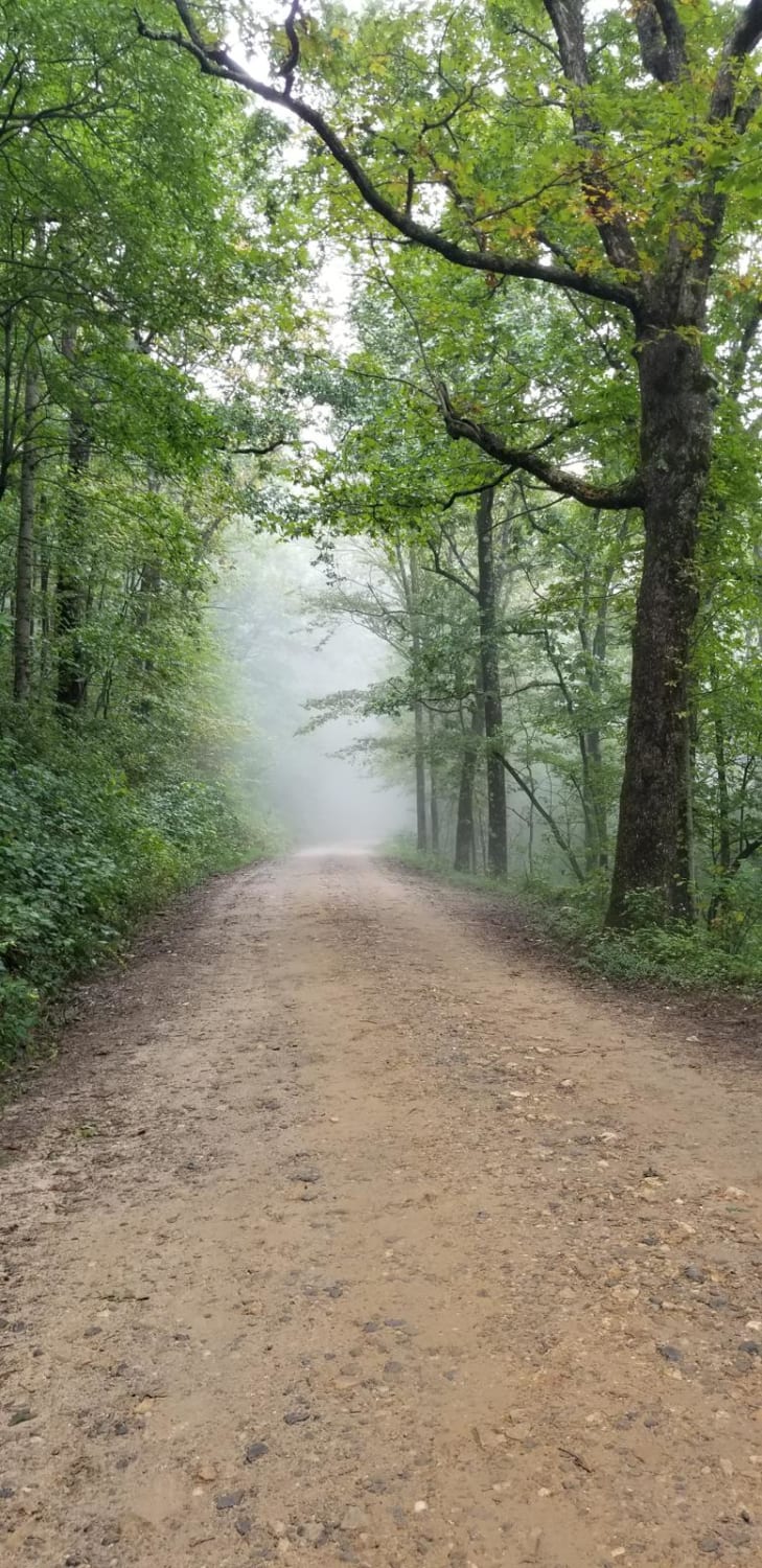 Winding Stair Mountain Trail Georgia Off Road Trail Map Photos 