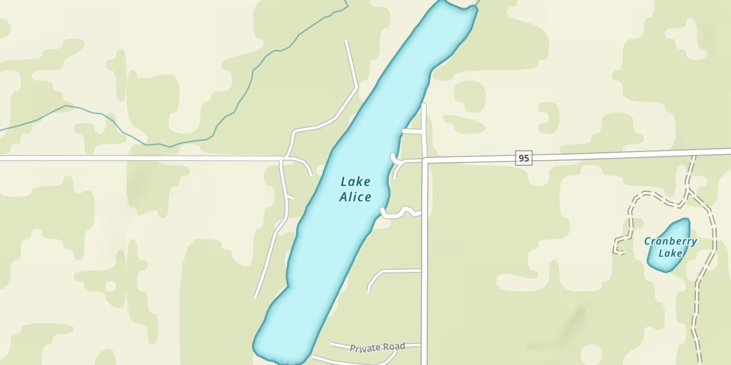 Lake Alice Fishing Maps, Tips, Regulations, and Hot Spots onX Fish App