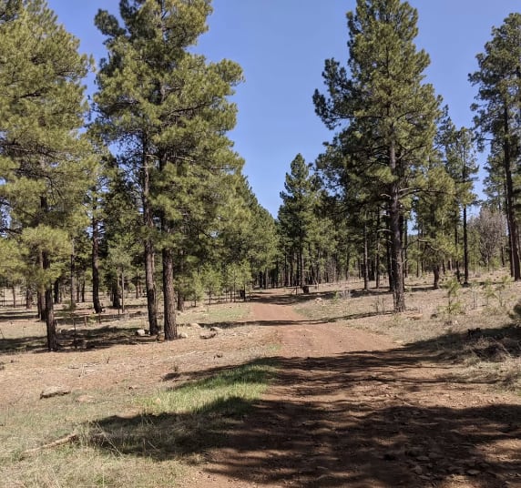 Howard Trail #245