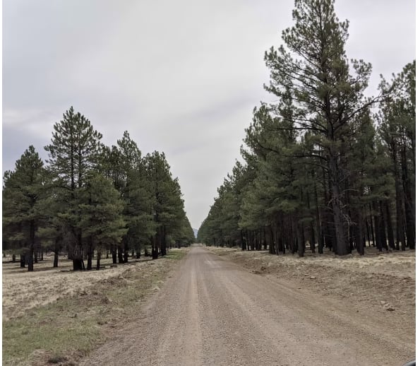 Lava River Cave Road