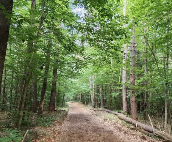 Cleveland Lake Road