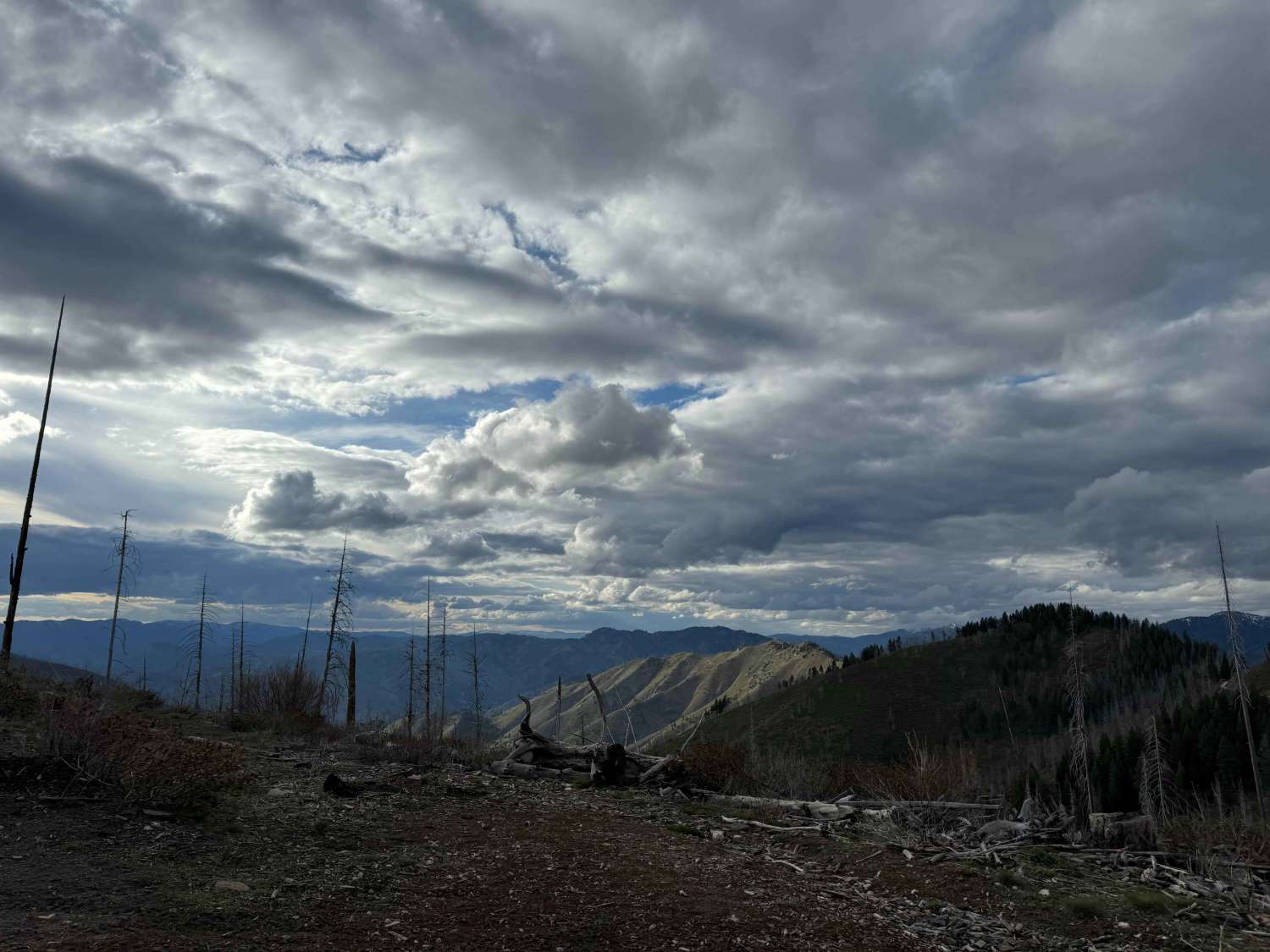 Phifer Creek Pass