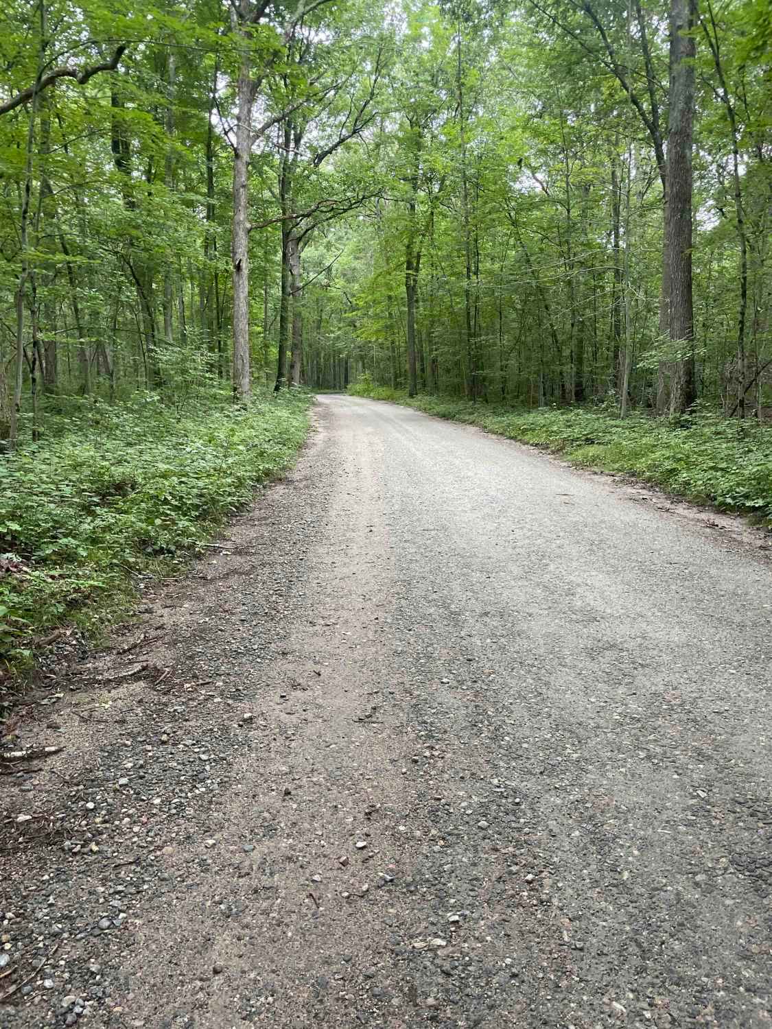 Old Country Road 