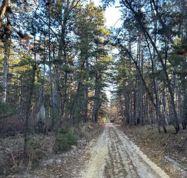 Battie Trail 