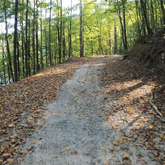 Musterground Road