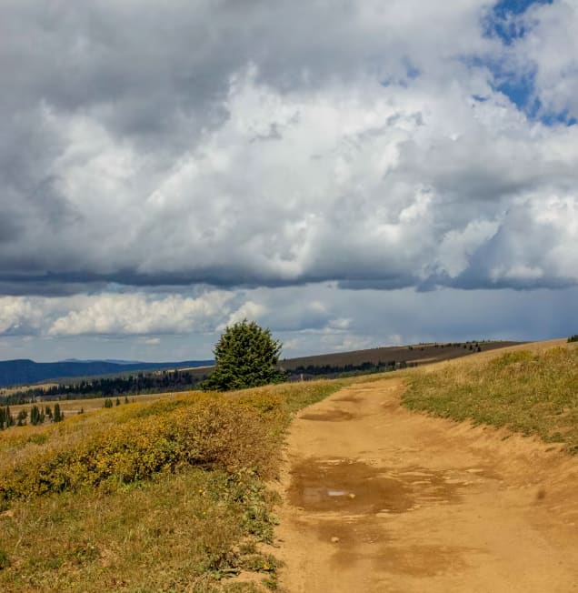 Blair Mountain - FR601