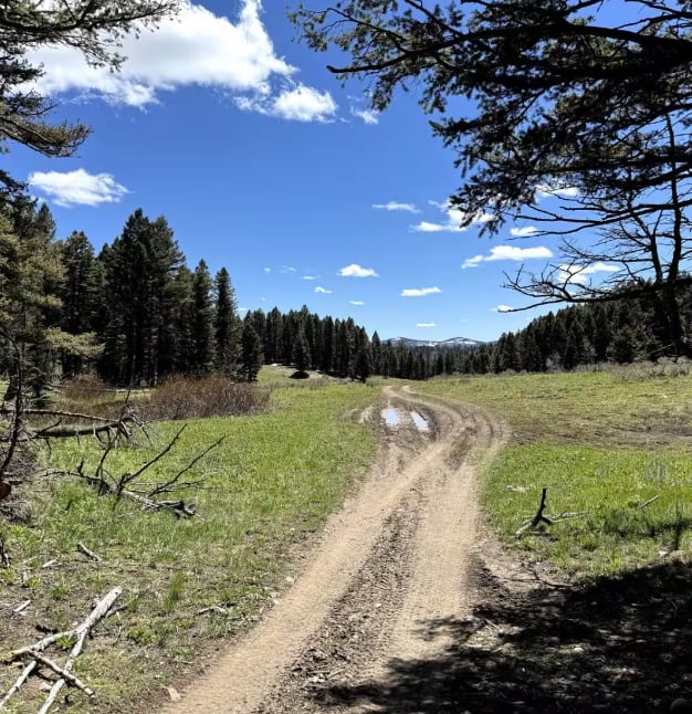 Pete Creek Trail
