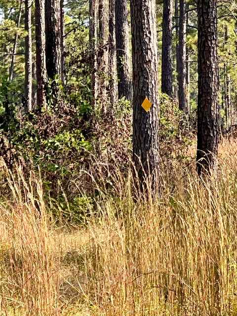 Livingston Trail
