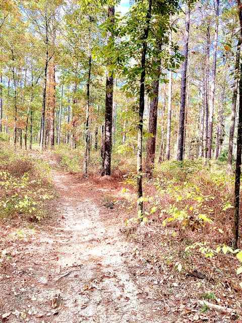 Hickman Trail