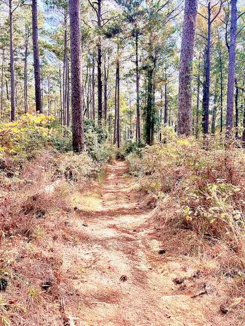 Hickman Trail
