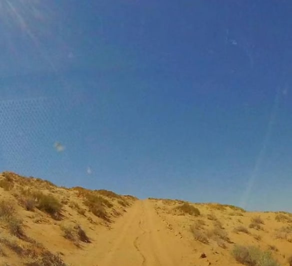 BLM 1010 to Blackburn Wash