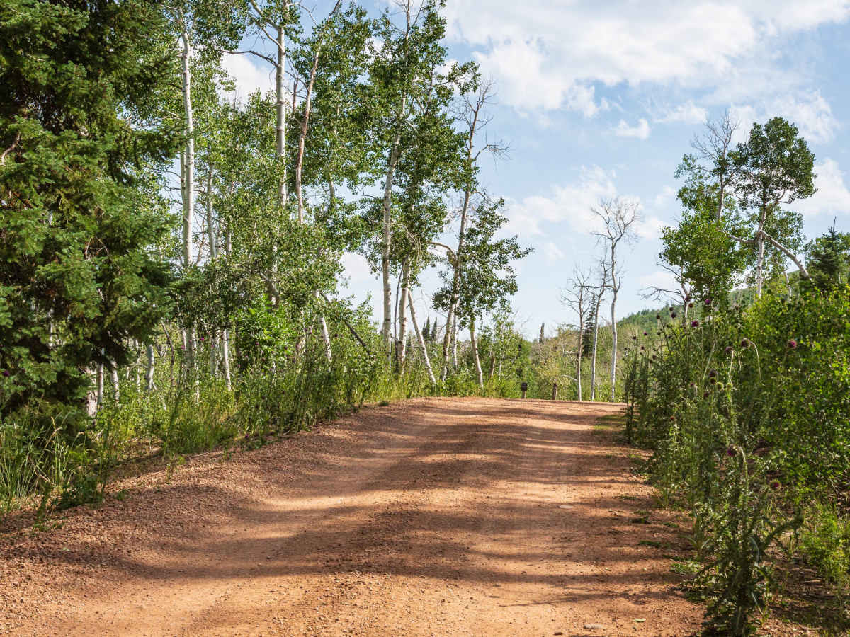 Indian Springs  - FS 70501 photo 2