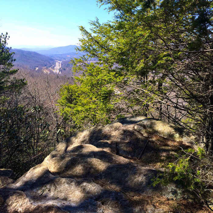 Near Kitsuma/Youngs Ridge Trail #204