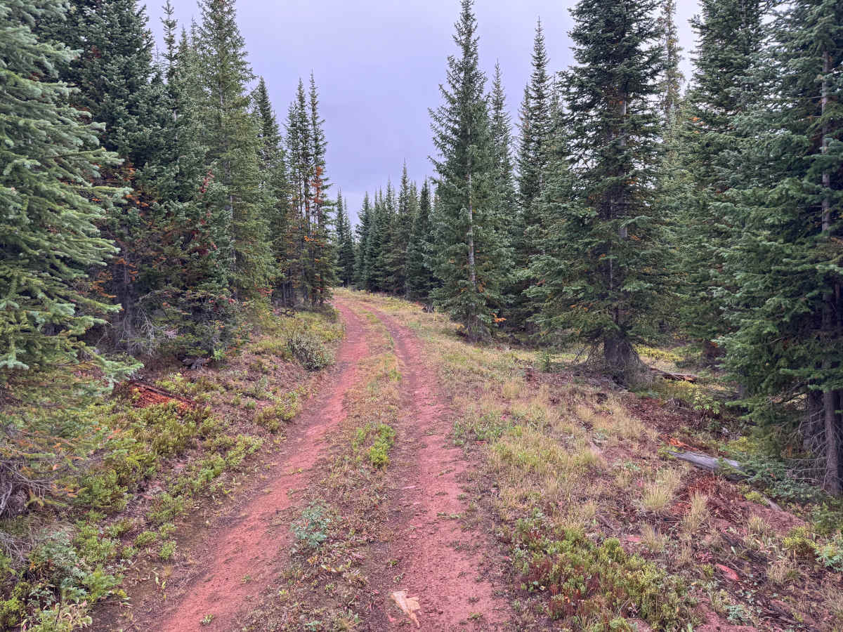 Little Woody Road photo 4