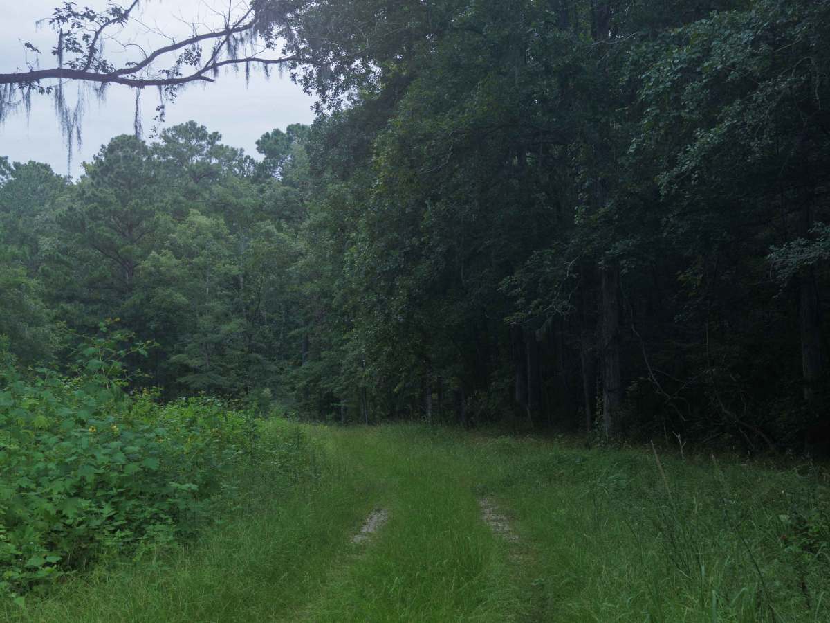 Briarpatch Lake Access photo 5