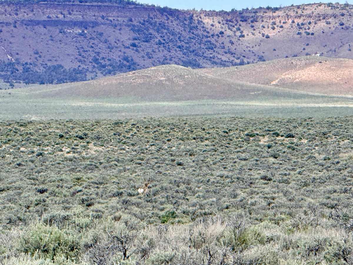  Georges Canyon - FS 44409 photo 4