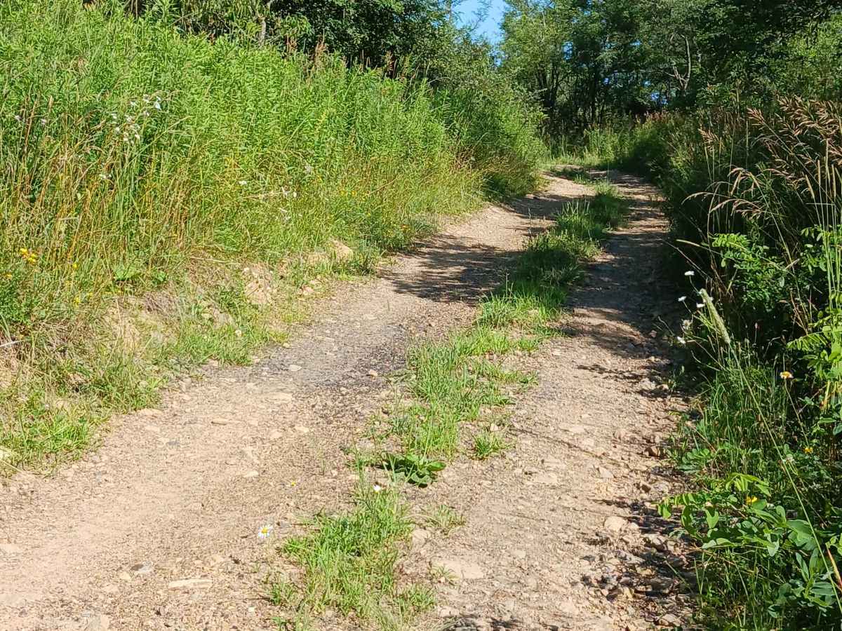 Trail 12O - Rock Run Recreation Area photo 3