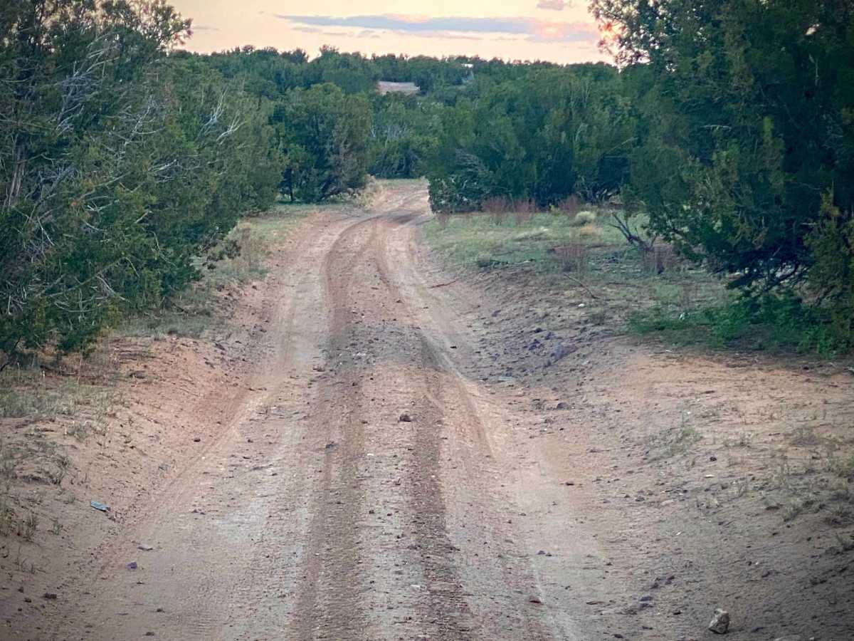 BLM-SFNF Connector & Camping photo 3