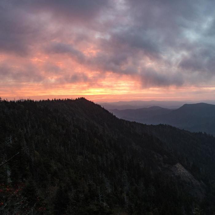 Near Mount LeConte via Trillium Gap + Boulevard Trail Near Mount LeConte via Trillium Gap + Boulevard Trail
